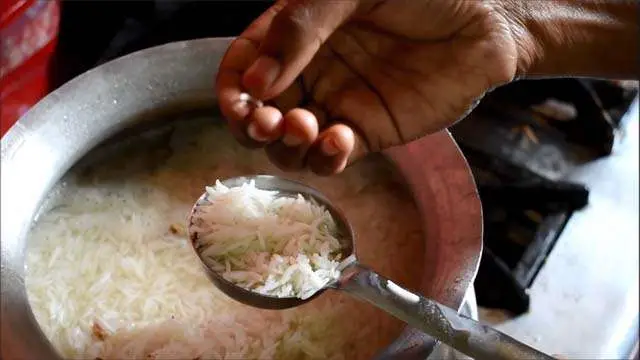 Chicken Biryani Recipe (10)