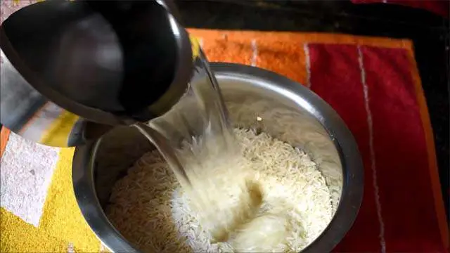 Chicken Biryani Recipe (7)