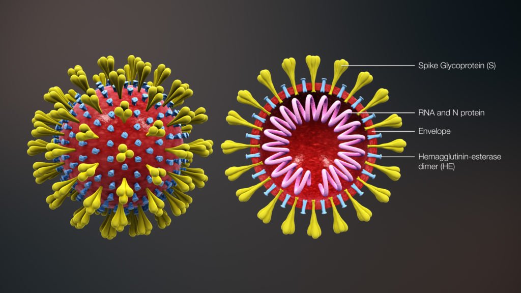 animation_corona_virus